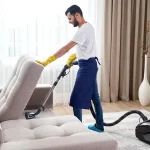 Sofa Cleaning -6 Seater